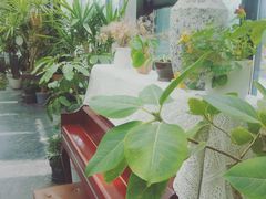 -北马山庄植趣咖啡