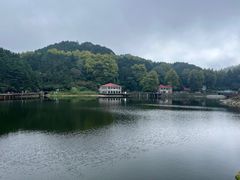 -庐山风景区花径公园