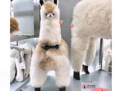 -VBEINGS微缤礼物(IFS国金中心店)