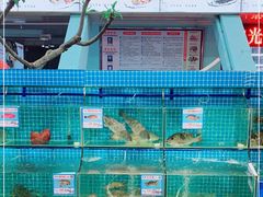 水产区-范饭椰林川湘味海鲜·椰子鸡(三亚湾椰梦长廊店)