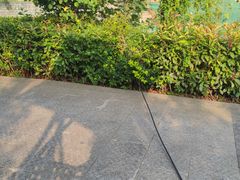 -白玉兰商务酒店(曲阜三孔景区春秋西路店)