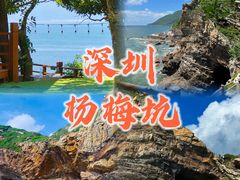 -杨梅坑