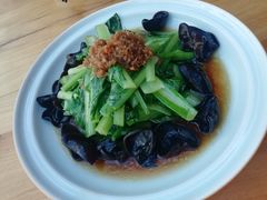 -一轩饺子馆(丽都店)