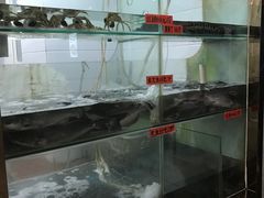 -万和源炝锅城·活鱼现炝(文艺北路店)