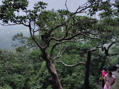 -洛阳白云山景区