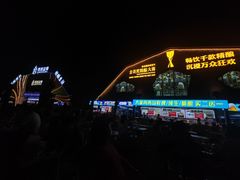 -第35届青岛国际啤酒节