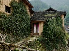 -杨家堂村