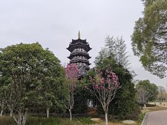 -洋湖国家湿地公园