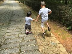-天台国家森林公园水上茶乡九鹏溪