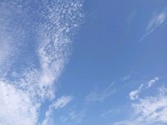 -碧海金沙
