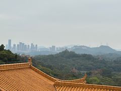 -深圳仙湖植物园