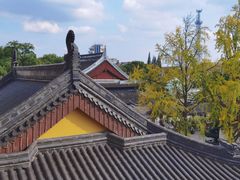 -上海东林寺(金山区)