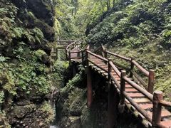 景点-青城后山