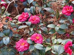 -苏州河梦清园环保主题公园