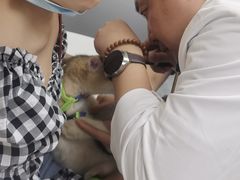 -美联众合爱康动物医院•复杂内科•肿瘤科•牙科•腔镜诊疗中心