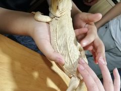 -藦茜花园宠物主题亲子互动体验馆(国顺东路店)