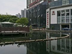 -苏州河梦清园环保主题公园