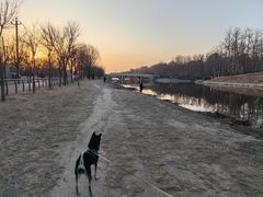 -马家湾湿地公园