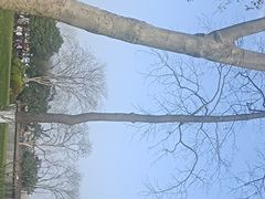 -西湖天地