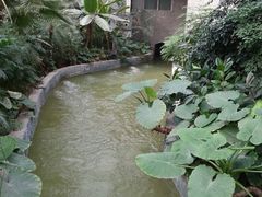android_upload_pic-龙达温泉生态城
