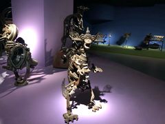 -逗号立方