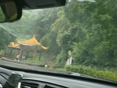 -广州市帽峰山景区