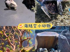 -顺德南宏海立方海洋公园