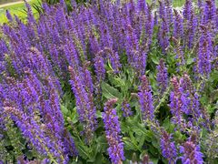 -汉长安城未央宫国家考古遗址公园