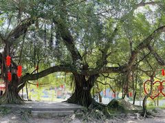 -广东天露山旅游度假区