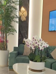 -雅曼妮spa美容养生