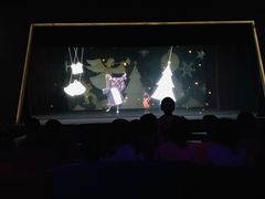 -彩色熊猫剧场