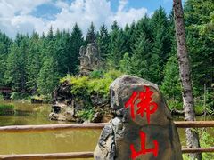 -茅兰沟国家森林公园