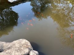 -乾隆行宫