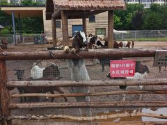 -太原动物园