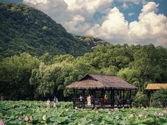 -兰亭风景区