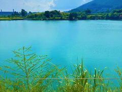 -水濂山森林公园