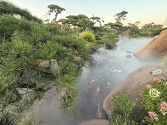 -罗红摄影艺术馆