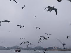 -海驴岛(荣成市)