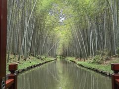 -同里国家湿地公园