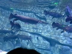 -泉城欧乐堡海洋极地世界