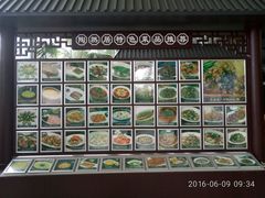 -陶然居·重庆菜(生态园店)