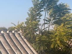 -BE YOLO必有乐&小红帽三明治