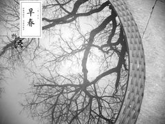-郭庄茶室