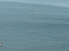 -泊石湾海滨浴场