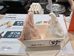 -野人先生现做冰淇淋(西安赛格店)