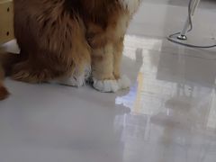 -平行世界·猫咖(首经贸店)