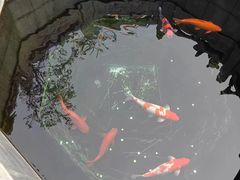 -西安市广仁寺