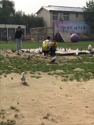 -上美四季动物农场