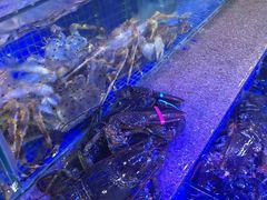 -青蓬蒸汽海鲜·深圳老字号·团建聚会(壹方城店)