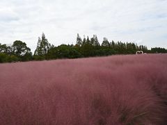 -嘉北郊野公园